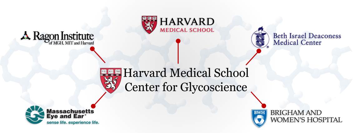HMS Center for Glycoscience